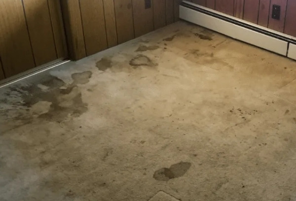 How To Clean, Remove Stains And Protect Carpets In High Traffic Areas